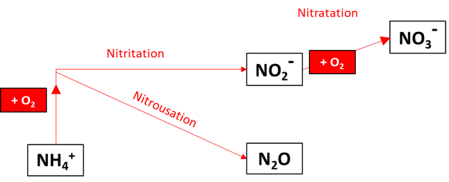 Nitrogen oxidation pathways resolved when simN2O=2.