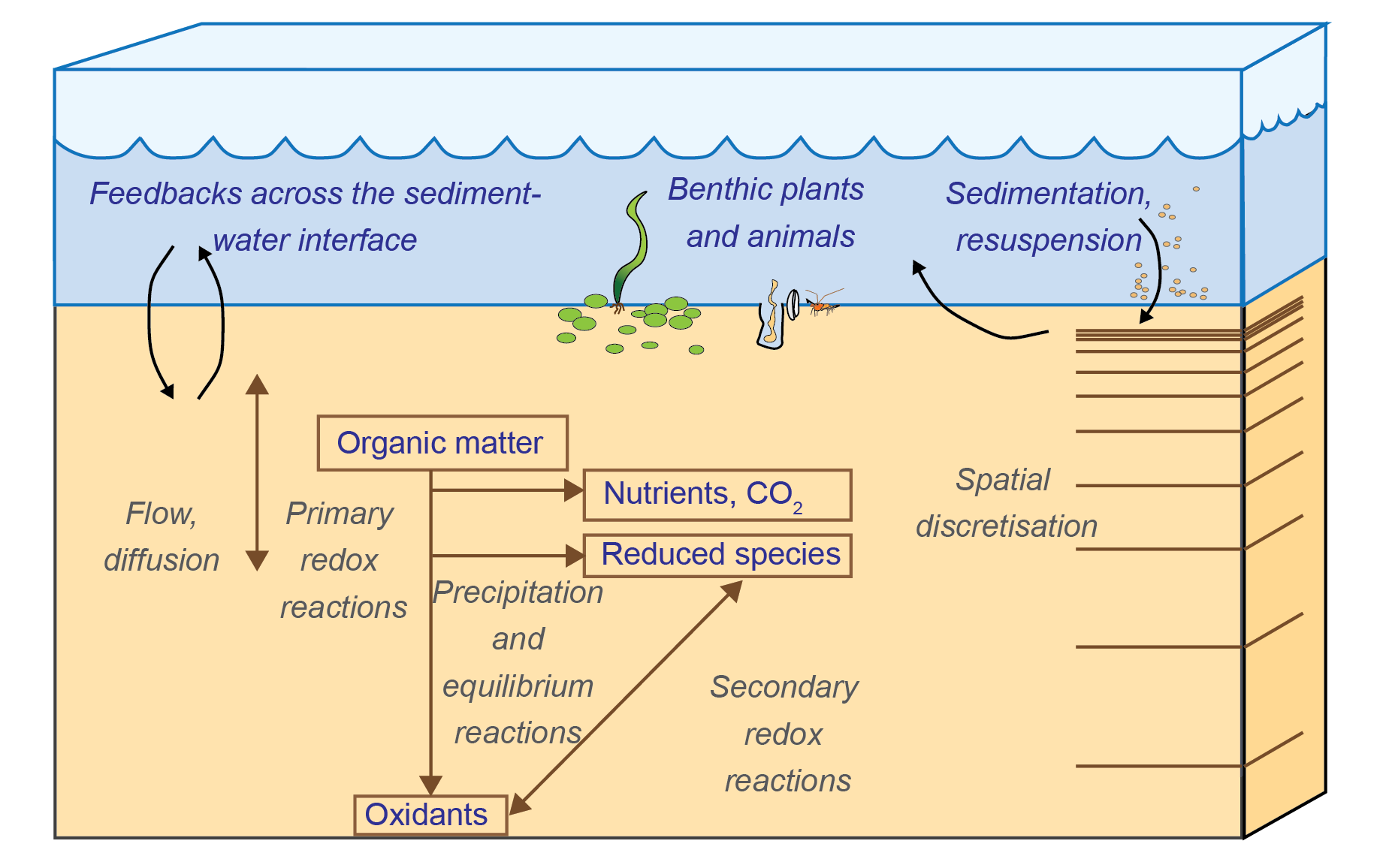 Schematic of the main physical and chemical processes that cause chemical concentration and flux change in the sediment and across the sediment-water interface, and therefore are included in most sediment diagenesis models.