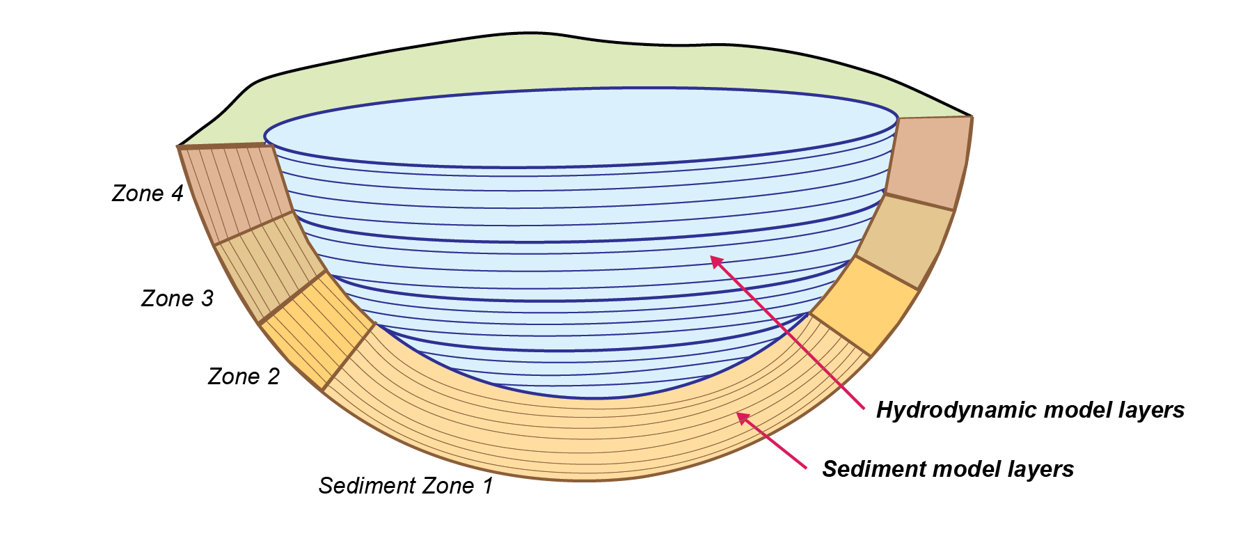 Schematic depicting sediment zone numerical approach, for a 1D layered hydrodyanmic model, such as a lake..