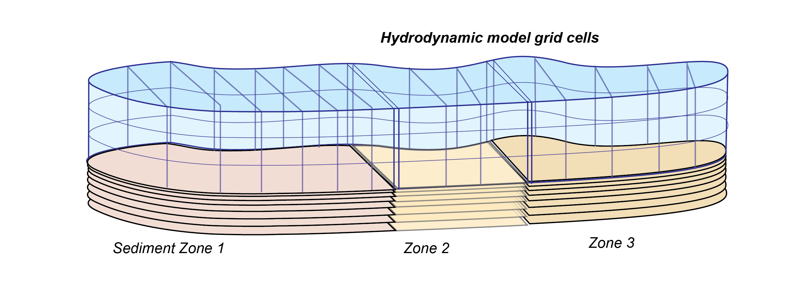 Schematic depicting sediment zone numerical approach, for a 3D hydrodynamic mesh.
