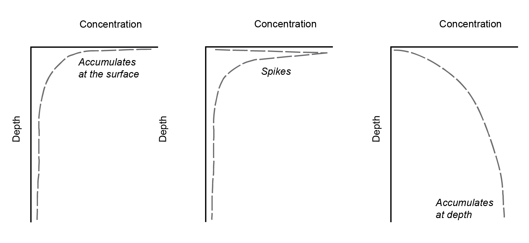 Examples of how the concentration profiles develop after initialisation. Left: the variable accumulates at the surface. Centre: a concentration spike develops. Right: the variable accumulates in the deep sediment.  
