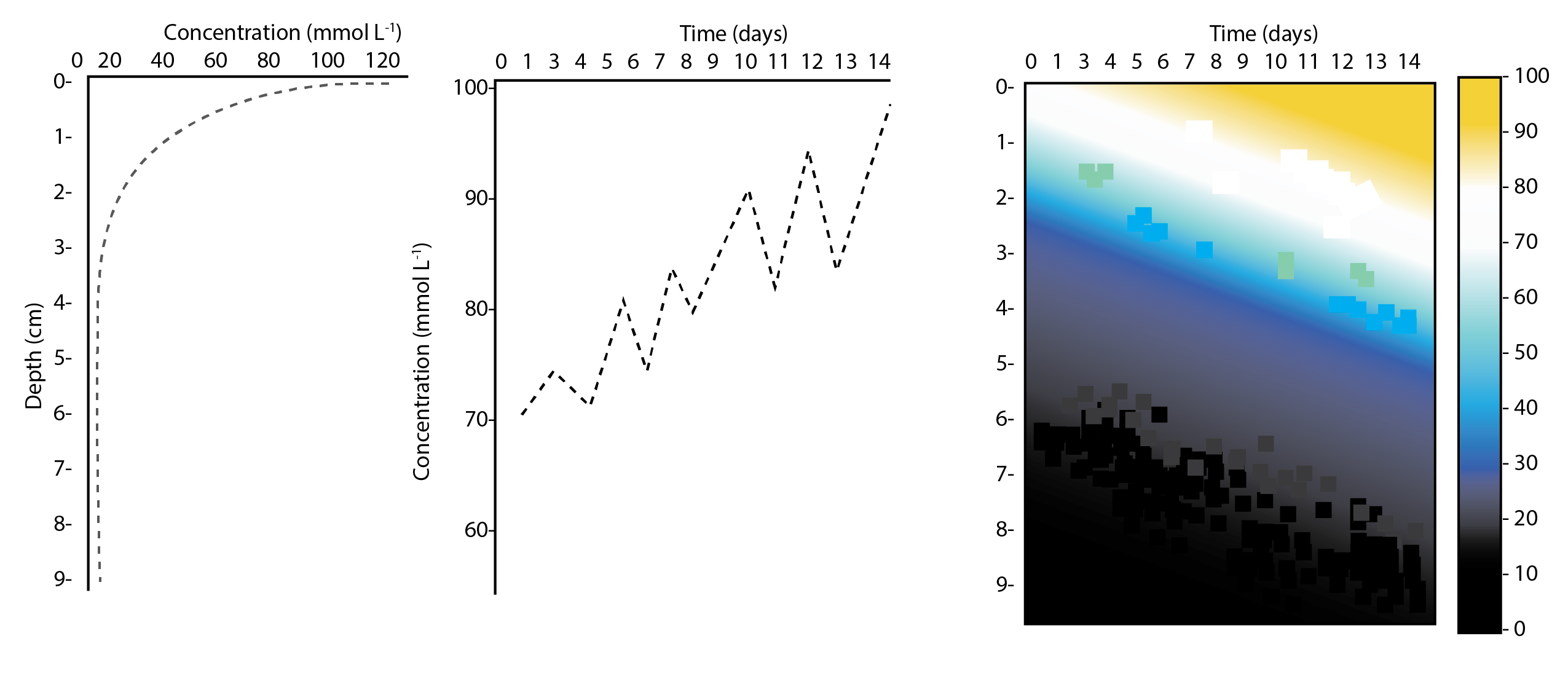 Examples of the figures that can be plotted with the .sed file. Left: concentration-depth at one time step; centre: concentration-time at one depth; right: concentration-depth-time 