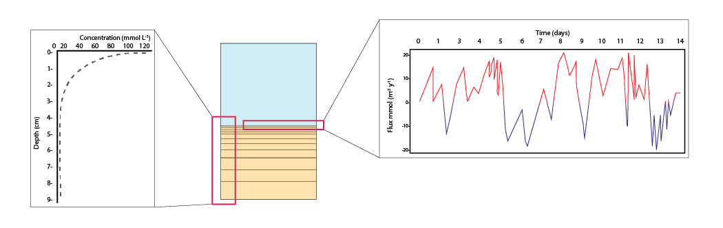 Examples of the final outputs after running CANDI-AED: concentration-depth profiles and flux-time plots.