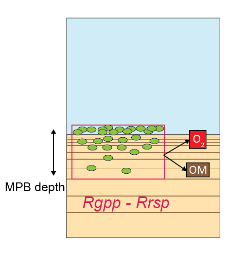 Schematic of the parameterisation of $O_2$ injection into the sediment where $MPB$ are respiring.