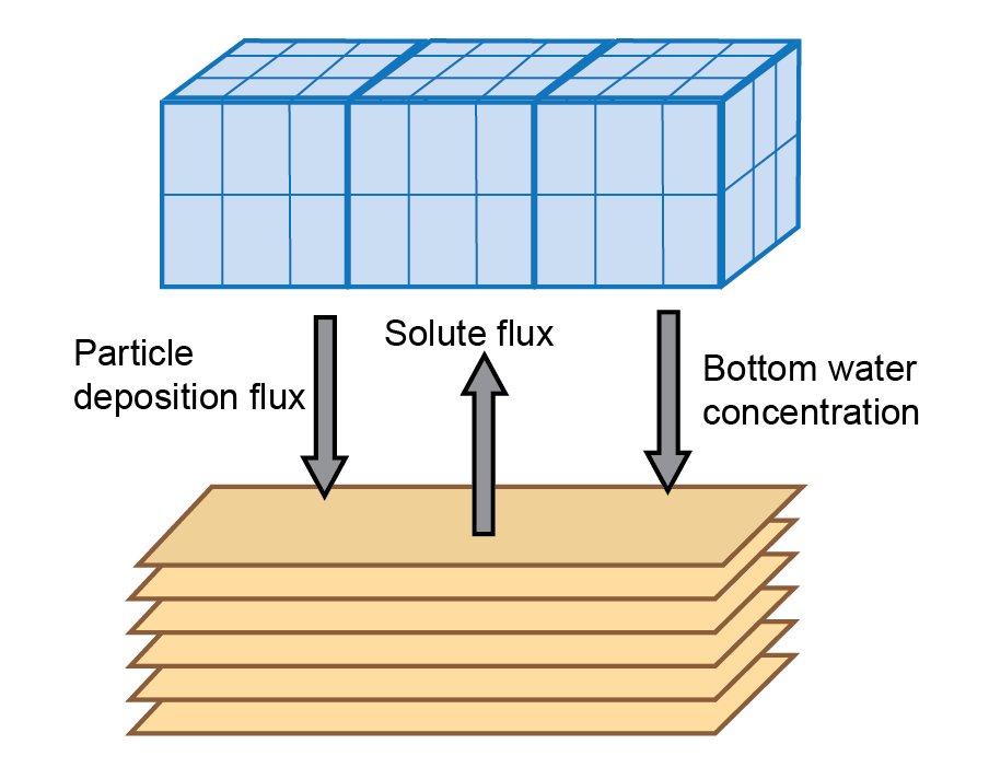 Schematic of sediment water coupling interactions