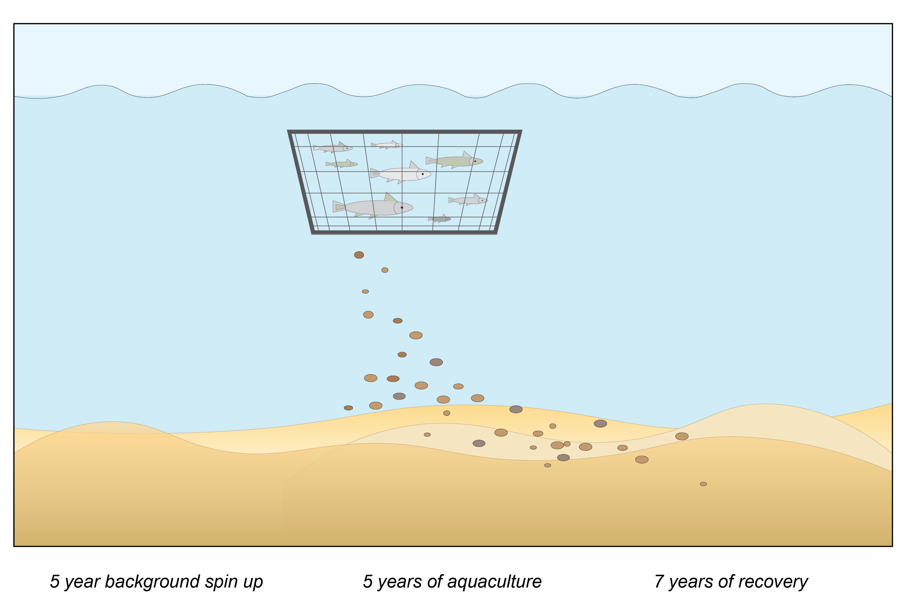 Schematic of the design of the aquaculture simulation. The simulation had a period of spin up, a period of aquaculture and then a recovery period.