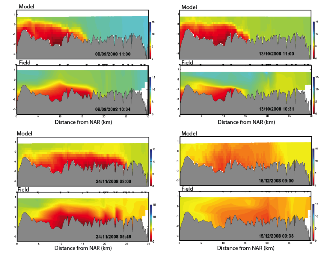 Cross-section plots comparing modelled and field salinity (psu, left) and $O_2$ (mg/L, right) for Sep-Dec 2008 within the Swan River. The field plots are based on contouring approx. 20 profile data locations.