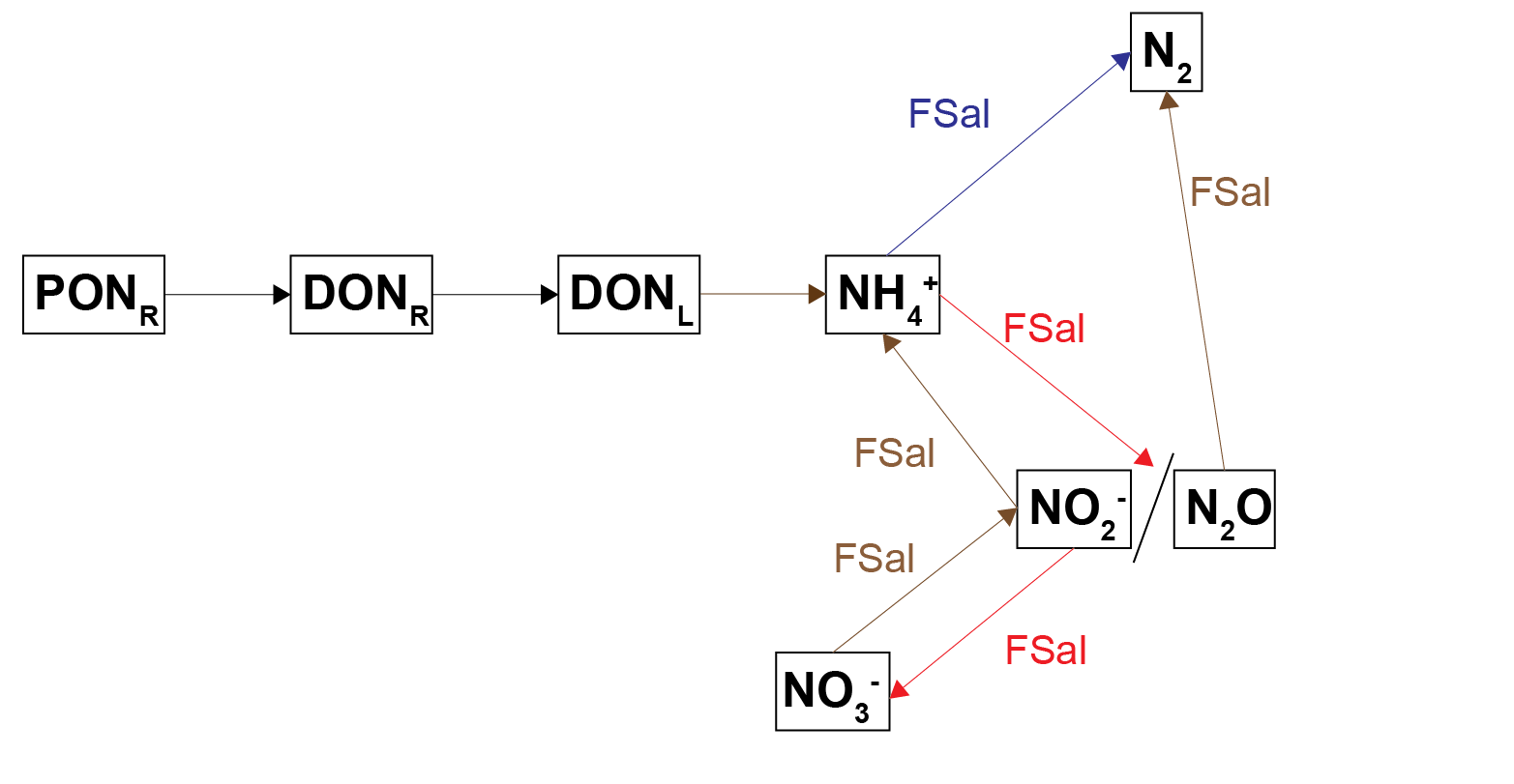 Schematic of the nitrogen breakdown pathways from $PON_R$ to $N_2$. PONL was not included in this diagram in order to simplify it, and because PONR was the major PON pool. The salinity inhibition factor, $F_{Sal}$, was applied to those processes where $F_{Sal}$ is beside the arrow.