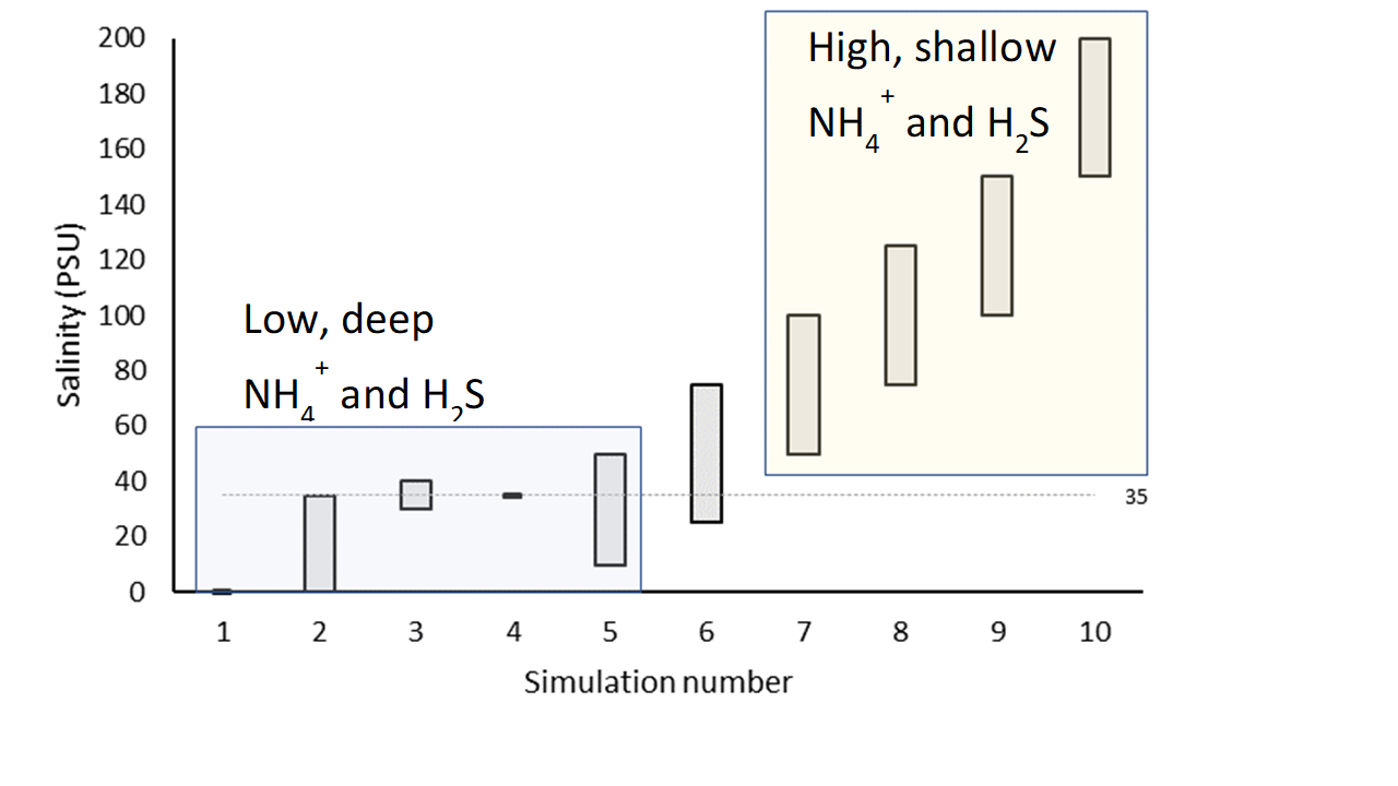 General result of the simulations for $NH_4^+$ and $H_2S$