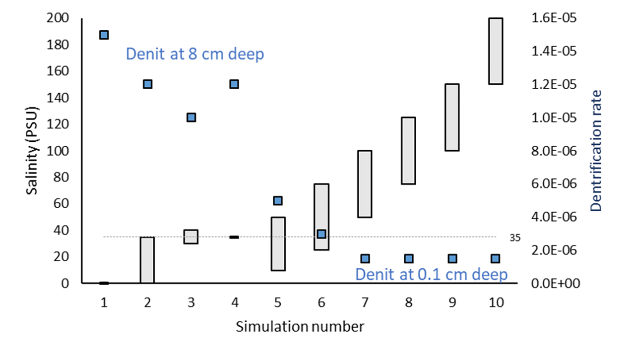 General result of denitrification rate across simulations.