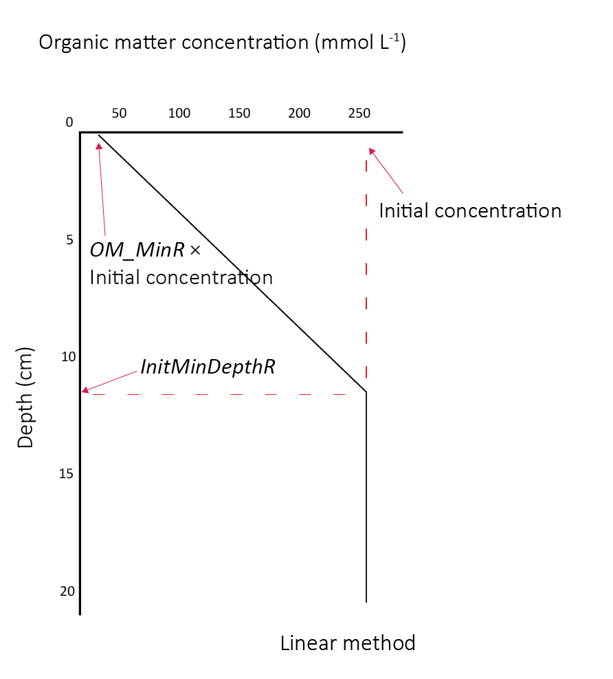 Organic matter initial profile and parameters