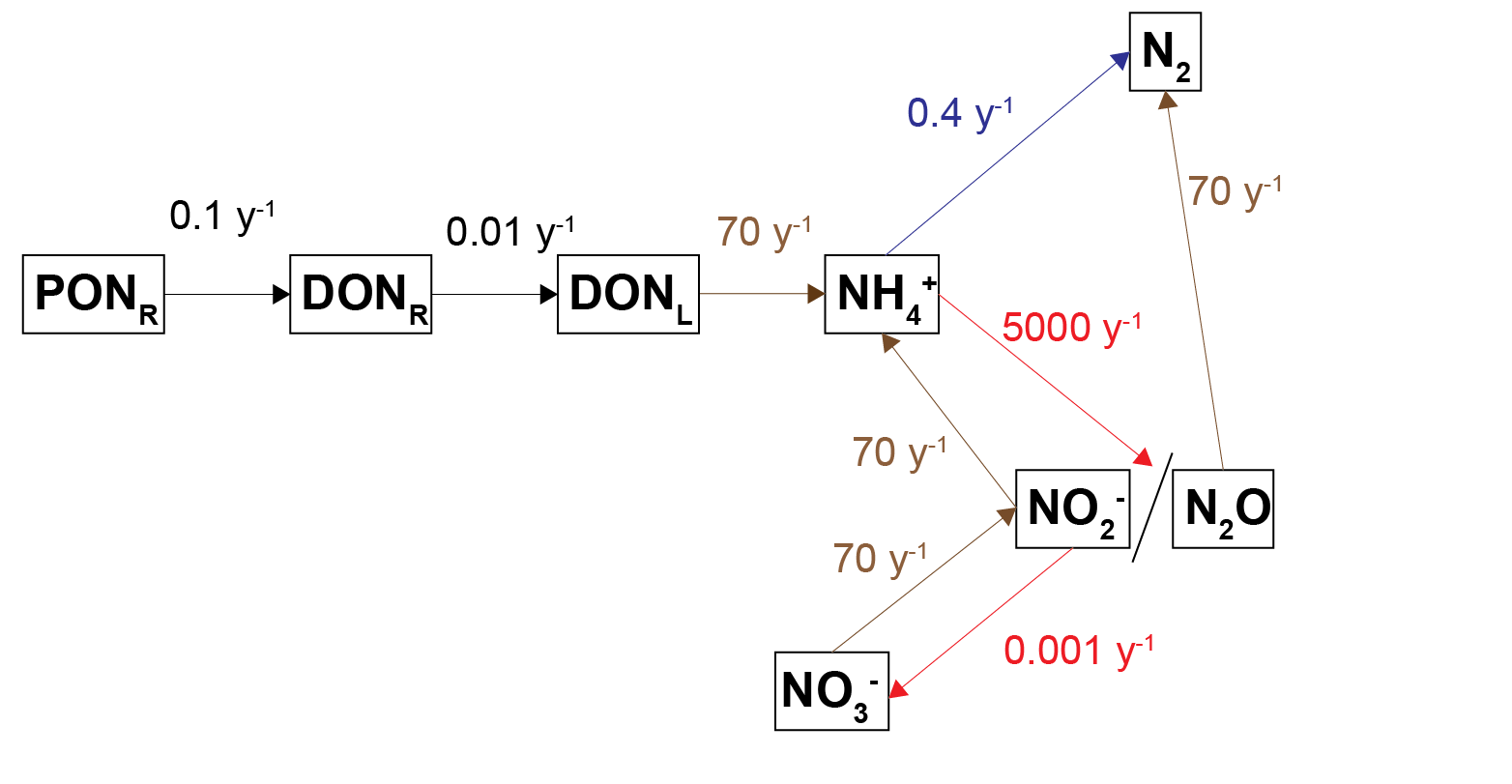 Diagram of the processes of nitrogen breakdown with the kinetic rate constants shown for each process.