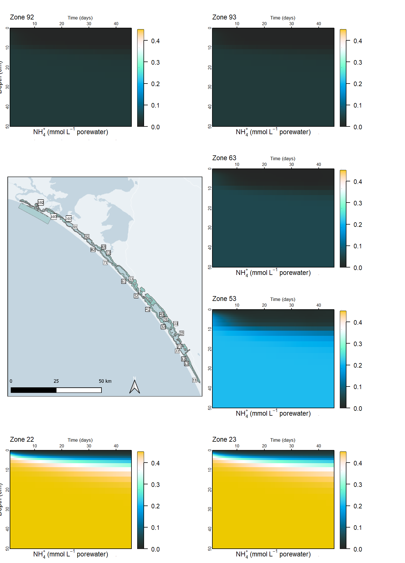 Simulated sediment concentrations of ammonium in different zones along the length of the lagoon.