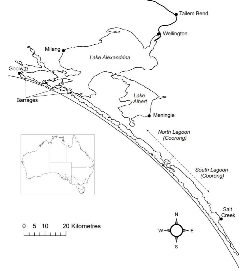 The Lower Lakes and Coorong. The freshwater in the lakes is isolated from the marine water by five barrages. Exchange with the ocean occurs through the Murray Mouth, which is located near Goolwa. The Coorong is comprised of the North and South lagoons. Source: ...