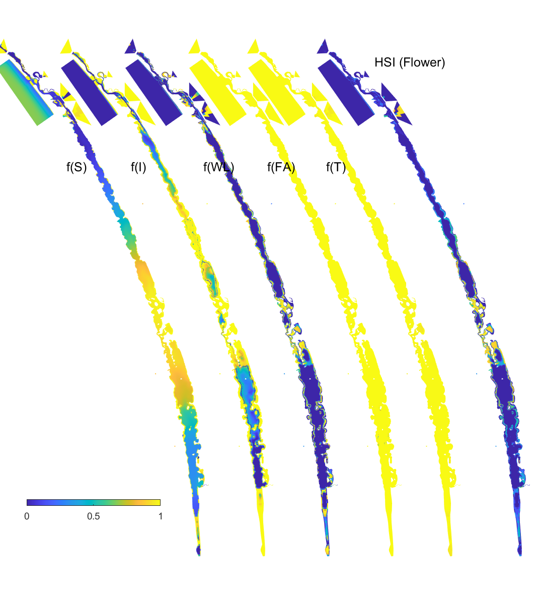 Habitat suitability (HSI) for the flowering plant phase of *Ruppia tuberosa* in the Coorong as a function of salinity f(S), light f(l), water level f(WL), temperature f(T) and presence of filamentous algae f(FA) for the base case in 2020. An HSI of 0 (dark purple) represents unsuitable habitat conditions, while an HSI of 1 represents optimal conditions (yellow).