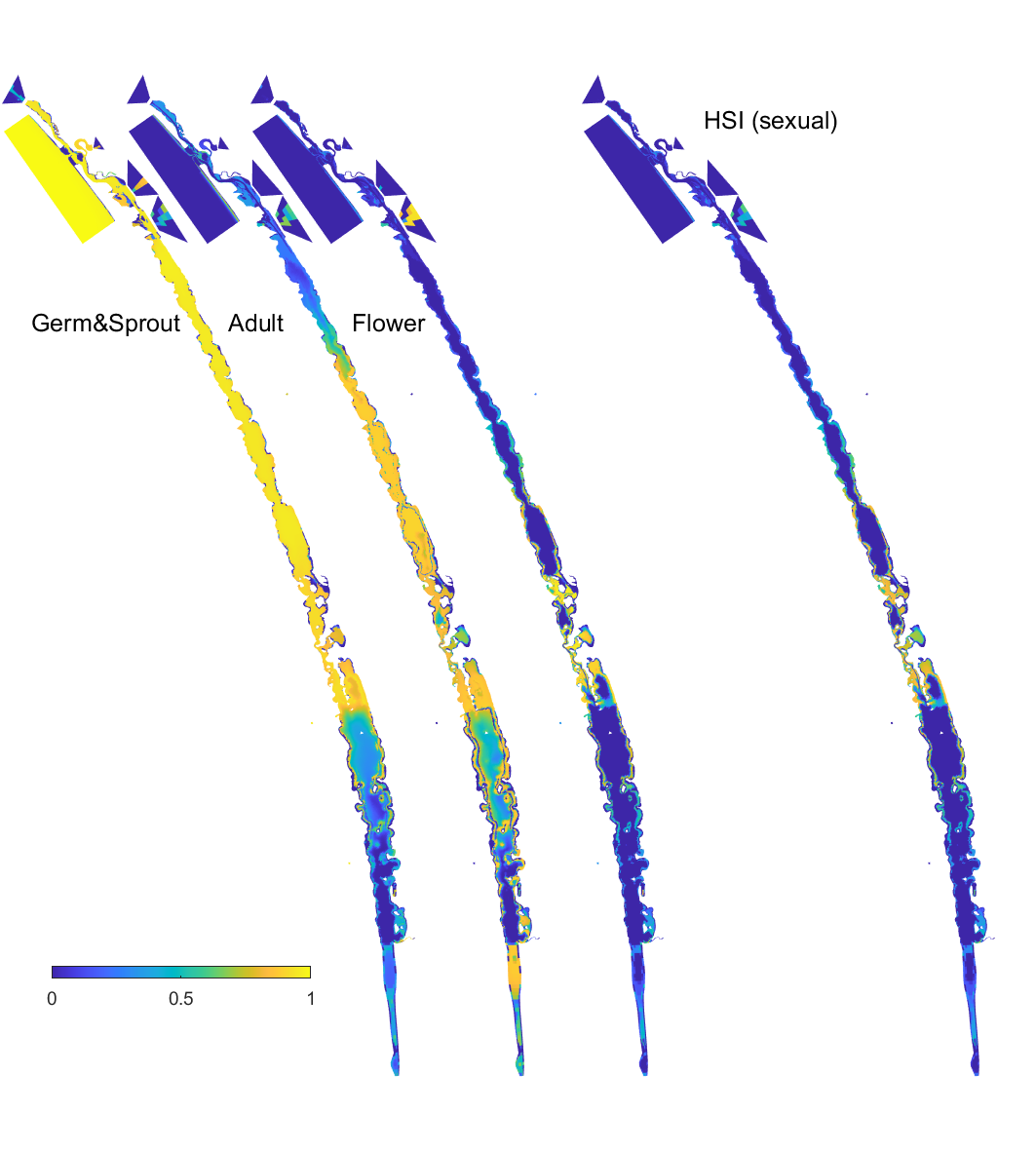 Overall HSI for the successful completion of the sexual life cycle calculated by integrating the HSI results for seed germination, turion viability and turion sprouting, adult plants, and flowering and seed set in the Coorong, for the Base Case in 2020. An HSI of 0 (dark purple) represents unsuitable habitat conditions, while an HSI of 1 represents optimal conditions (yellow).