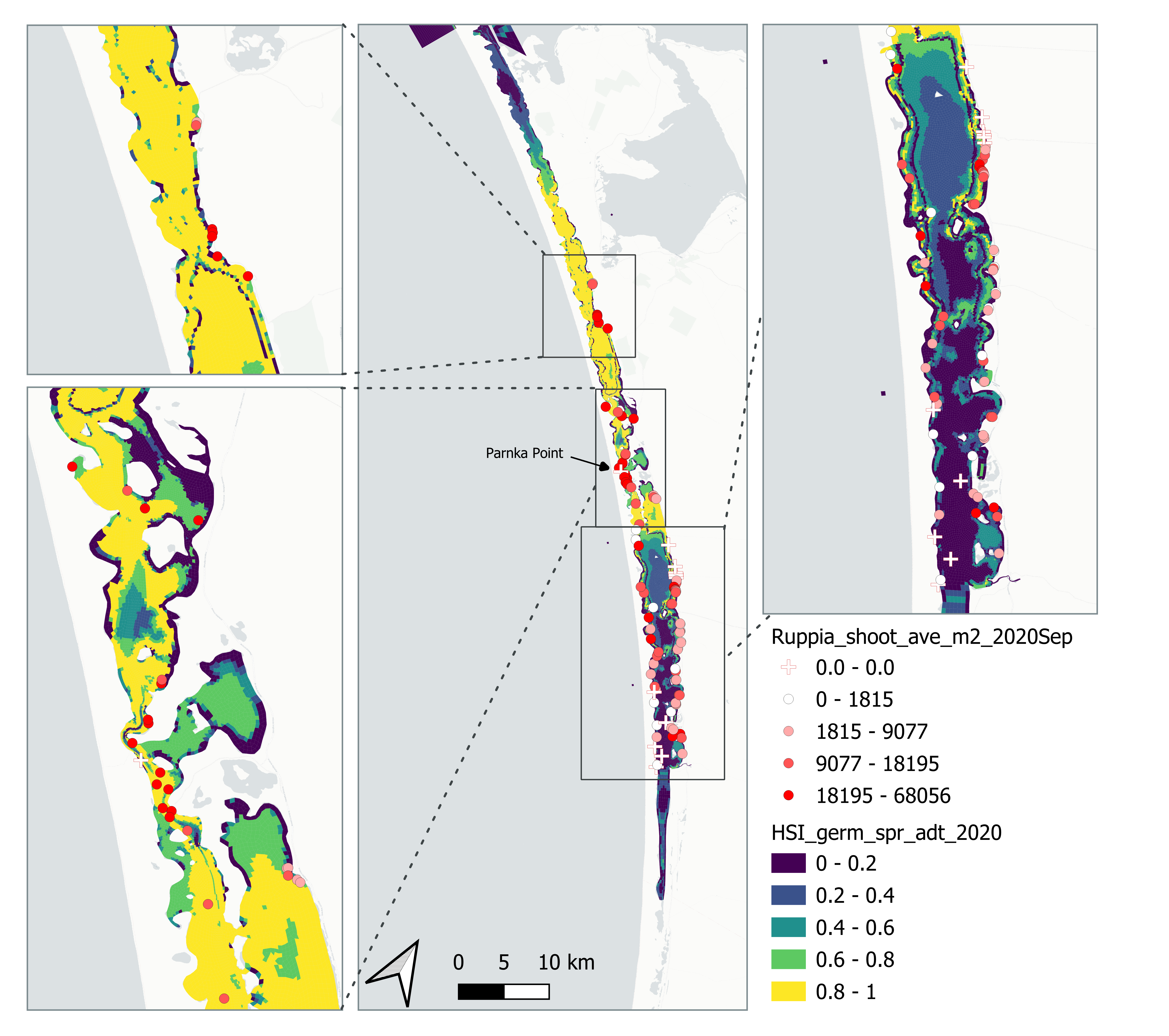 Average seagrass shoot count per square meter in Sep – Dec 2020 (circles) overlaid on HSI model output for germination, sprouting and adult growth integrated over Jan - Sep 2020. An HSI of 0 (dark purple) represents unsuitable habitat conditions, while an HSI of 1 represents optimal conditions (yellow).