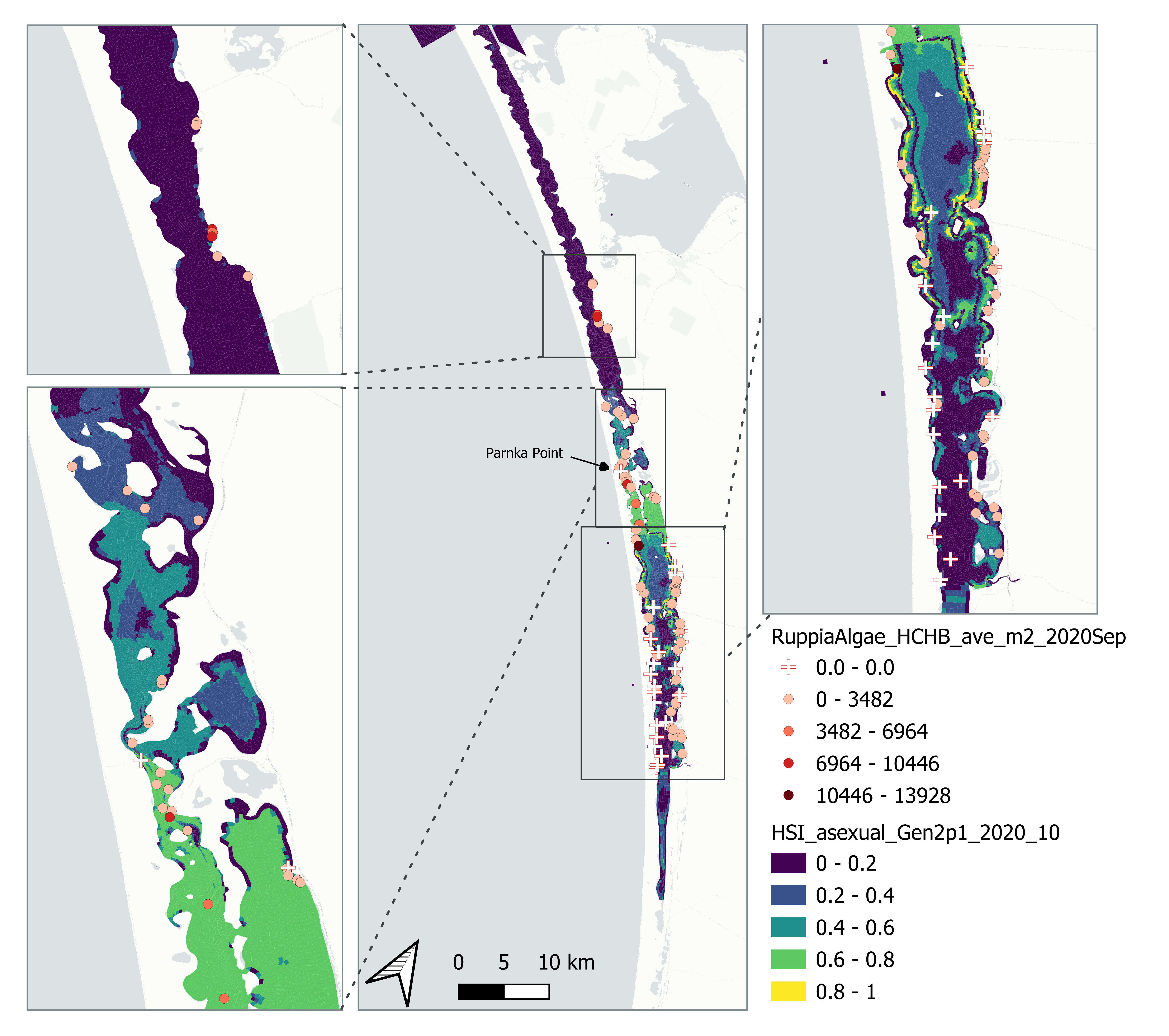 Average *Ruppia* turion count per square meter in Sep – Dec 2020 (circles) overlaid on HSI model output for overall asexual reproduction integrated over Jan – Oct 2020. An HSI of 0 (dark purple) represents unsuitable habitat conditions, while an HSI of 1 represents optimal conditions (yellow).