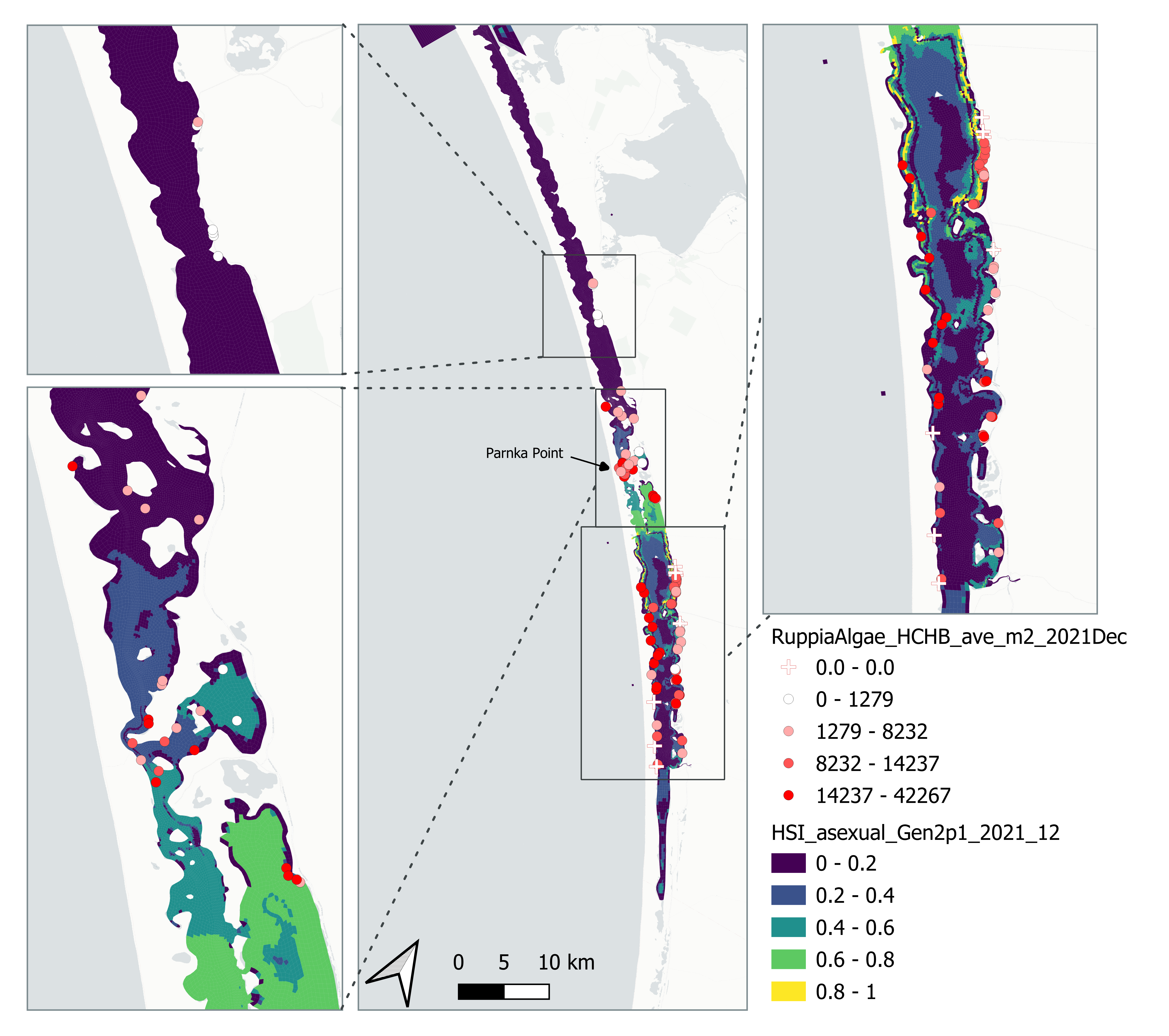 Average *Ruppia* turion count per square meter in Dec 2021 (circles) overlaid on HSI model output for overall asexual reproduction integrated over Jan – Dec 2021. An HSI of 0 (dark purple) represents unsuitable habitat conditions, while an HSI of 1 represents optimal conditions (yellow).