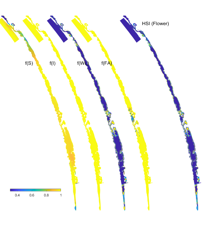 Habitat suitability (HSI) for the flowering plant phase of *Ruppia tuberosa* in the Coorong as a function of salinity f(S), light f(l), water level f(WL), and presence of filamentous algae f(FA) for the Base Case in 2018.An HSI of 0 (dark purple) represents unsuitable habitat conditions, while an HSI of 1 represents optimal conditions (yellow).