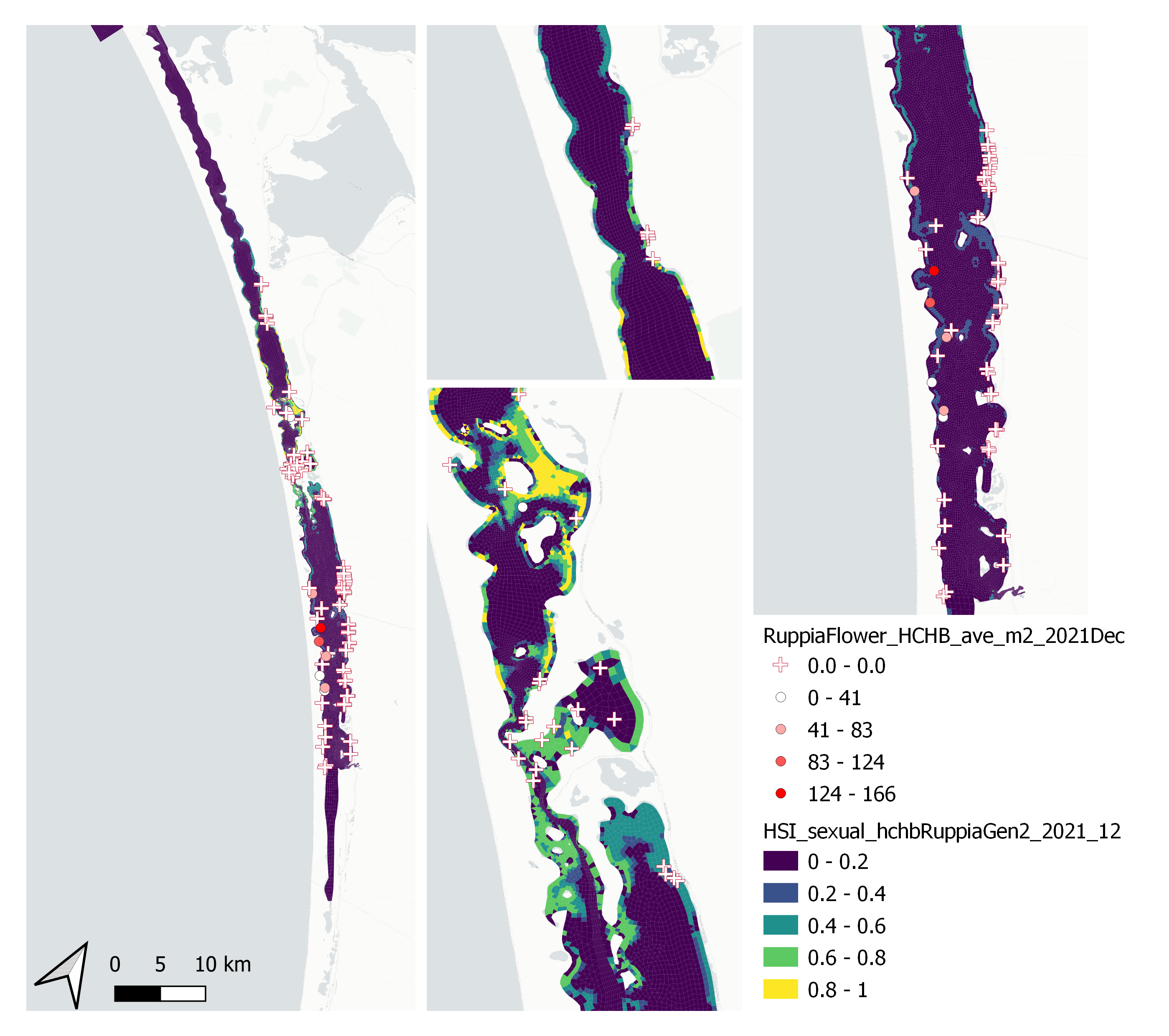 Average *Ruppia* flower count per square meter in Dec 2021 (circles) overlaid on HSI model output for overall sexual reproduction integrated over Jan – Dec 2021. An HSI of 0 (dark purple) represents unsuitable habitat conditions, while an HSI of 1 represents optimal conditions (yellow).