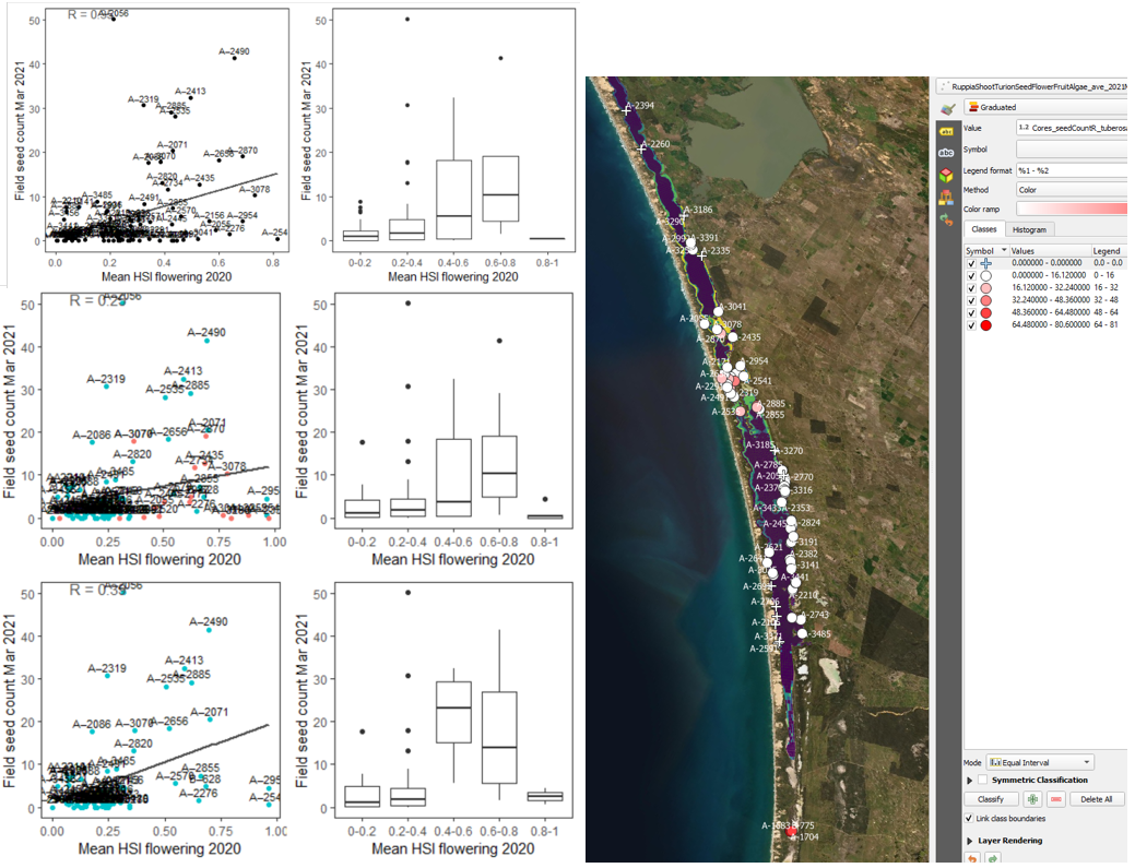 Average seed count per core in 2021 Mar (circles) overlaid on HSI model output for flowering and seed set in 2020 (right), and validation plots for the entire lagoon (top left, 600m buffer), entire lagoon separated into north and south (middle left, red: north, blue: south, 100m buffer), and south lagoon only (bottom left, 100m buffer). An HSI of 0 (dark purple) represents unsuitable habitat conditions, while an HSI of 1 represents optimal conditions (yellow).