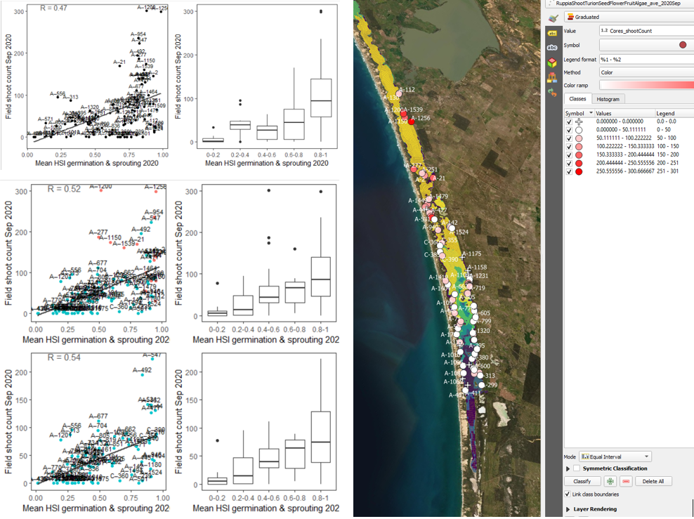 Average shoot count per core in 2020 Sep (circles) overlaid on HSI model output for germination and sprouting in 2020 (right), and validation plots for the entire lagoon (top left, 600m buffer), entire lagoon separated into north and south (middle left, red: north, blue: south, 100m buffer), and south lagoon only (bottom left, 100m buffer). An HSI of 0 (dark purple) represents unsuitable habitat conditions, while an HSI of 1 represents optimal conditions (yellow).