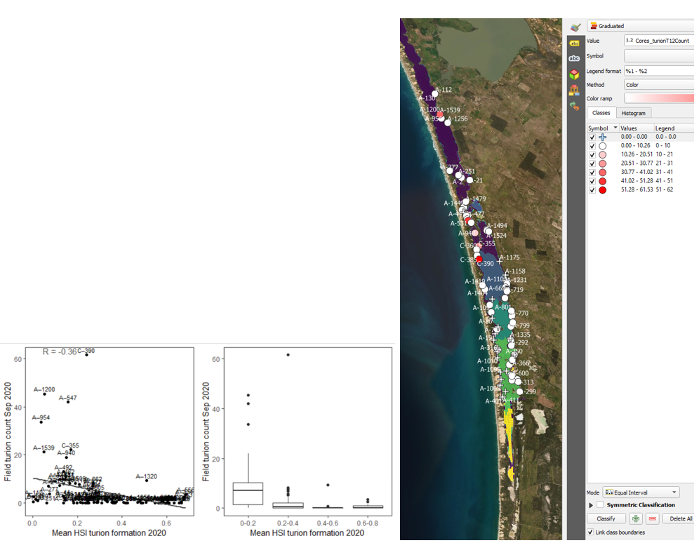 Average turion count per core in 2020 Sep (circles) overlaid on HSI model output for turion formation in 2020 (right), and validation plots for the entire lagoon (left, 600m buffer). An HSI of 0 (dark purple) represents unsuitable habitat conditions, while an HSI of 1 represents optimal conditions (yellow).