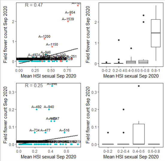 Average flower count per core in 2020 Sep (circles) overlaid on HSI model output for sexual reproduction to end of Sep in 2020 (top), and validation plots for the entire lagoon separated into north and south (middle, red: north, blue: south, 100m buffer), and south lagoon only (bottom, 100m buffer). An HSI of 0 (dark purple) represents unsuitable habitat conditions, while an HSI of 1 represents optimal conditions (yellow).