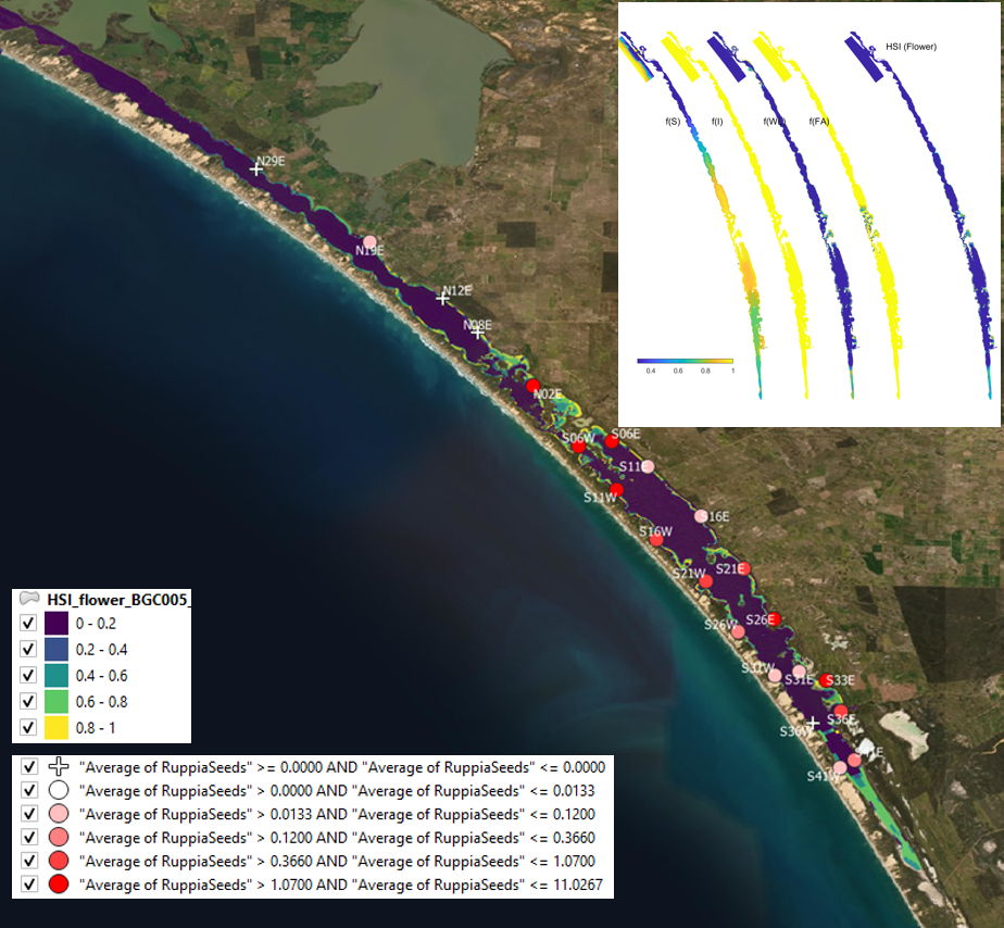 Average seed count per core in **2017 January** (circles) overlaid on HSI model output for flowering and seed set in 2016. Inset on top right shows the overall habitat suitability for the flowering and seed set phase of Ruppia as a function of salinity f(S), light f(l), water level f(WL), and presence of filamentous algae f(FA). An HSI of 0 (dark purple) represents unsuitable habitat conditions, while an HSI of 1 represents optimal conditions (yellow).