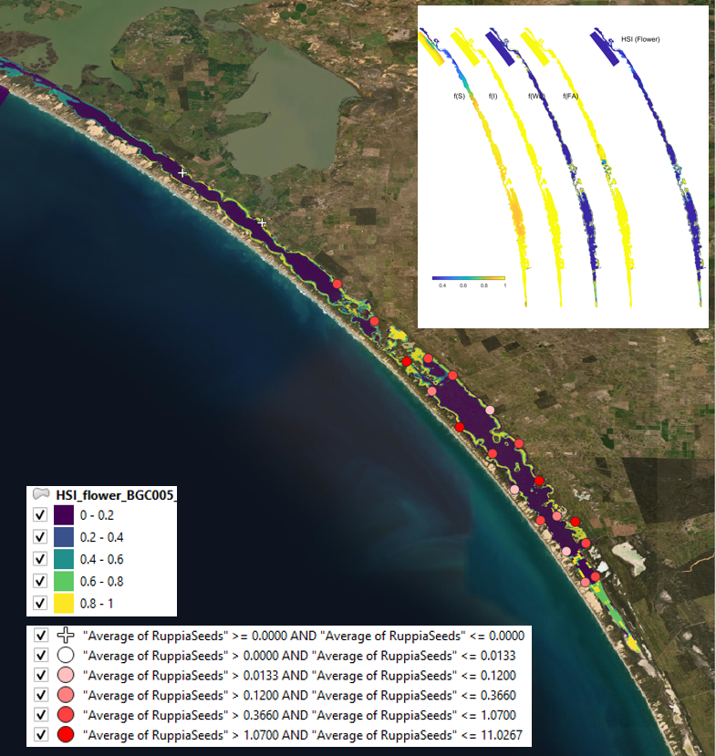 Average seed count per core in **2018 January** (circles) overlaid on HSI model output for flowering and seed set in 2017. Inset on top right shows the overall habitat suitability for the flowering and seed set phase of Ruppia as a function of salinity f(S), light f(l), water level f(WL), and presence of filamentous algae f(FA). An HSI of 0 (dark purple) represents unsuitable habitat conditions, while an HSI of 1 represents optimal conditions (yellow).