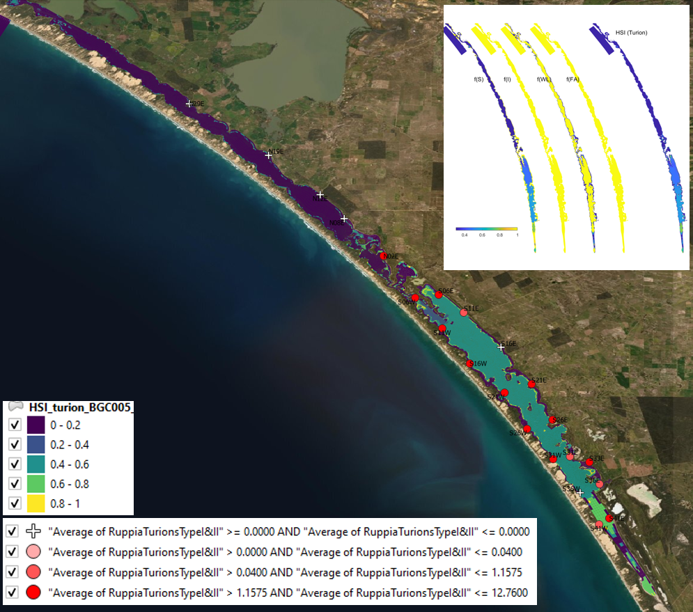 Average turion count (type I and II) per core in **2016 January** (circles) overlaid on HSI model output for turion formation in 2015. Inset on top right shows the overall habitat suitability for the turion formation phase of Ruppia as a function of salinity f(S), light f(l), water level f(WL), and presence of filamentous algae f(FA). An HSI of 0 (dark purple) represents unsuitable habitat conditions, while an HSI of 1 represents optimal conditions (yellow).