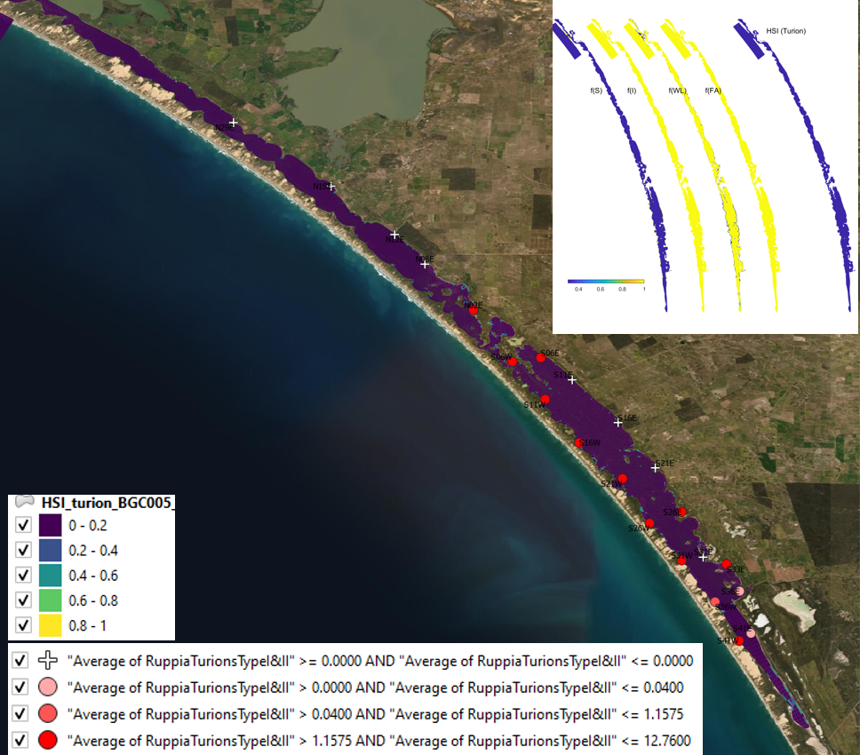 HSI turion Average turion count (type I and II) per core in **2017 January** (circles) overlaid on HSI model output for turion formation in 2016. Inset on top right shows the overall habitat suitability for the turion formation phase of Ruppia as a function of salinity f(S), light f(l), water level f(WL), and presence of filamentous algae f(FA). An HSI of 0 (dark purple) represents unsuitable habitat conditions, while an HSI of 1 represents optimal conditions (yellow).