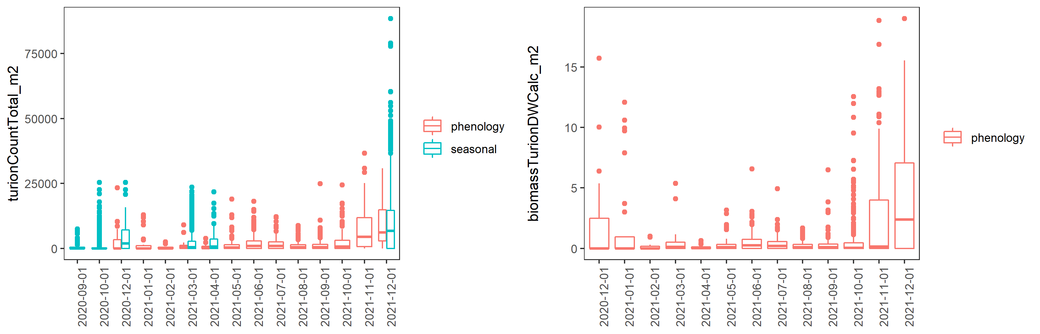 Boxplots of monthly *Ruppia* turion count (type I and type II combined, per m^2^) and turion biomass (type I and type II combined, g DW/m^2^) between December 2020 and December 2021.