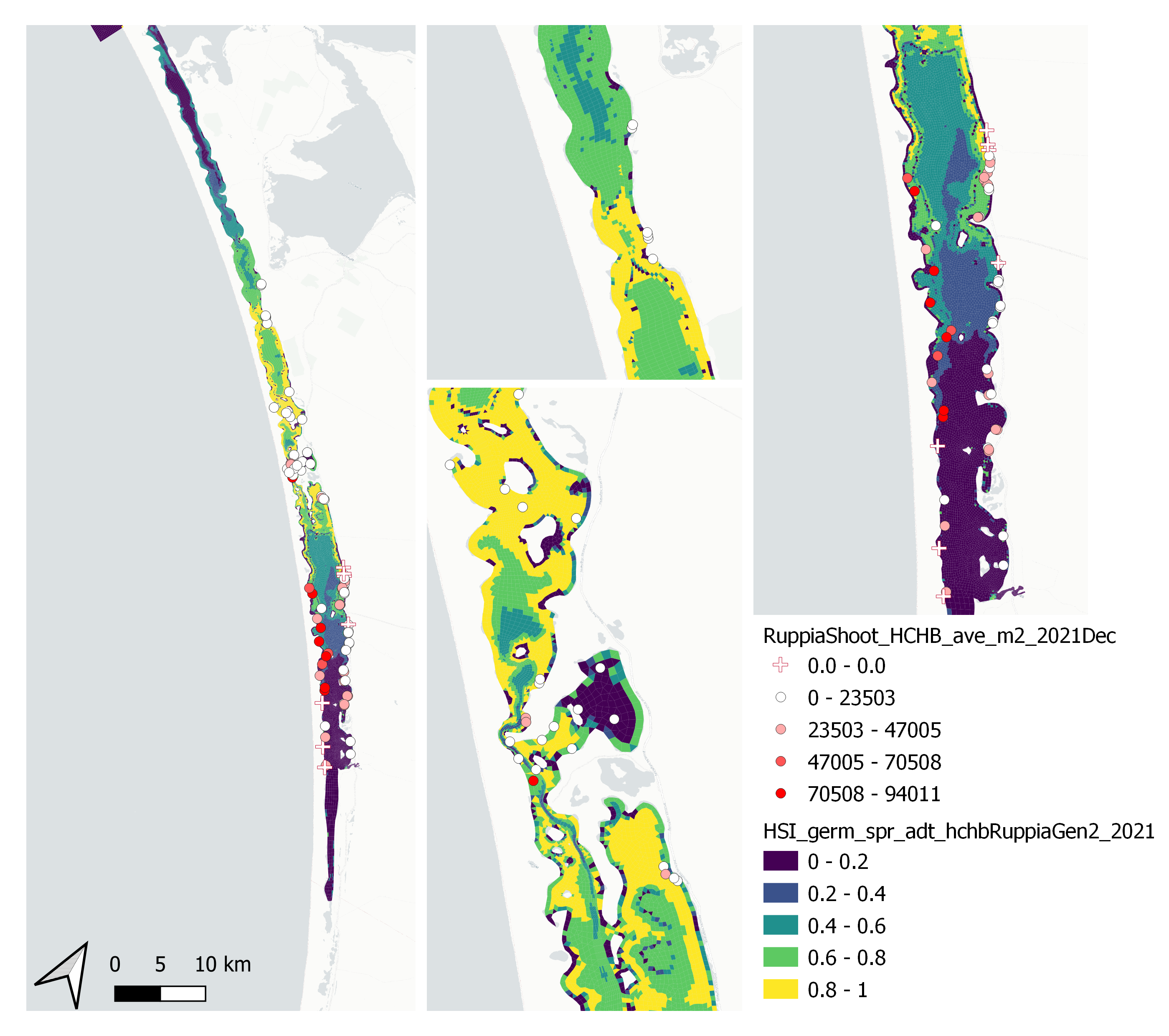 Average seagrass shoot count per square meter in Dec 2021 (circles) overlaid on HSI model output for germination, sprouting and adult growth integrated over Jan - Sep 2021. An HSI of 0 (dark purple) represents unsuitable habitat conditions, while an HSI of 1 represents optimal conditions (yellow).