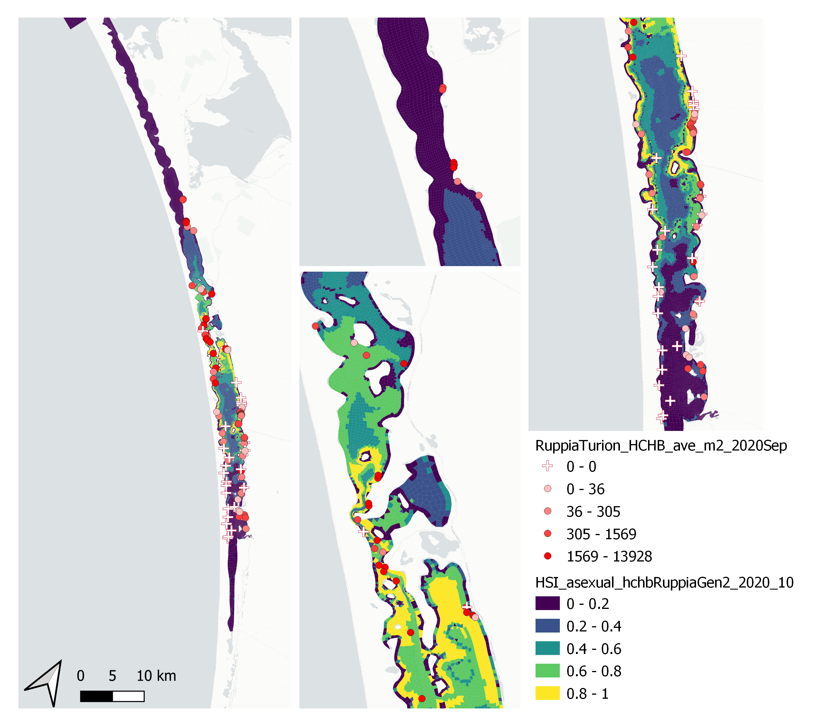 Average *Ruppia* turion count per square meter in Sep – Dec 2020 (circles) overlaid on HSI model output for overall asexual reproduction integrated over Jan – Oct 2020. An HSI of 0 (dark purple) represents unsuitable habitat conditions, while an HSI of 1 represents optimal conditions (yellow).