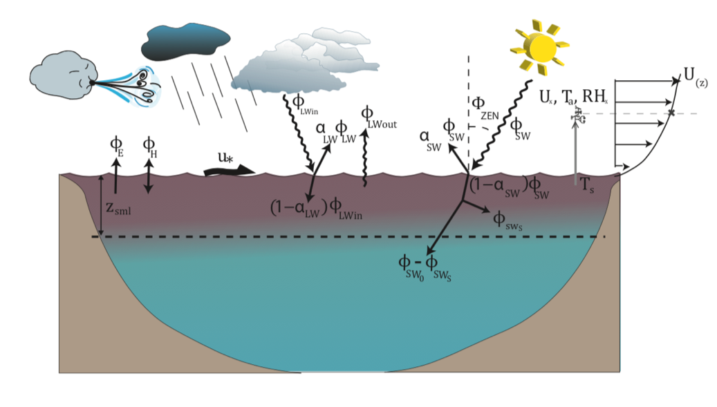 Schematic diagram of surface heat fluxes impacting lake water temperature. For a description of the heat flux terms refer to the [GLM paper](https://gmd.copernicus.org/articles/12/473/2019/)