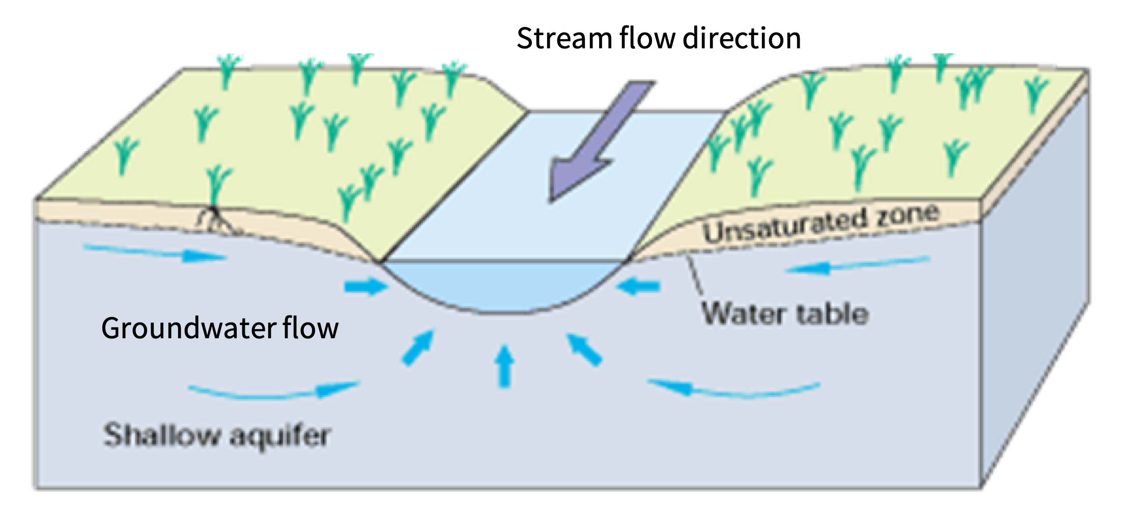 Groundwater discharge to a gaining stream.