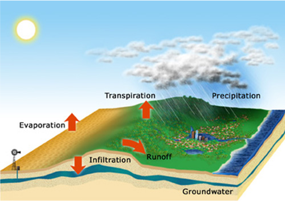 Water balance diagram for a landscape