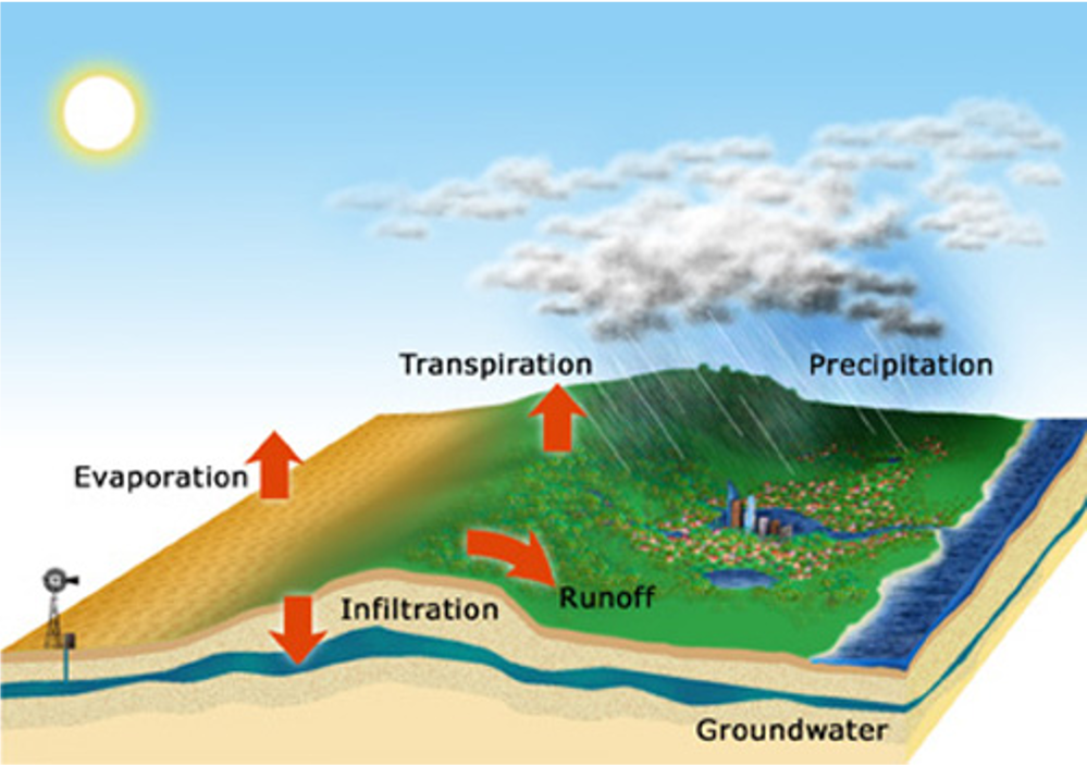 Water Balance In Hydrology