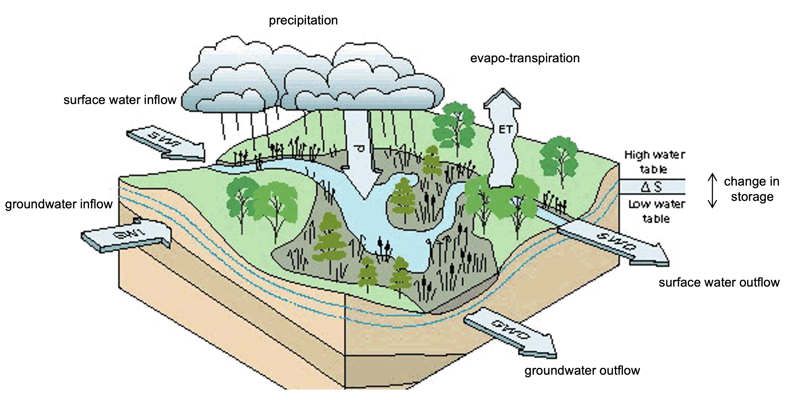Components of a wetland water balance. Source:USGS Water Supply Paper 2425