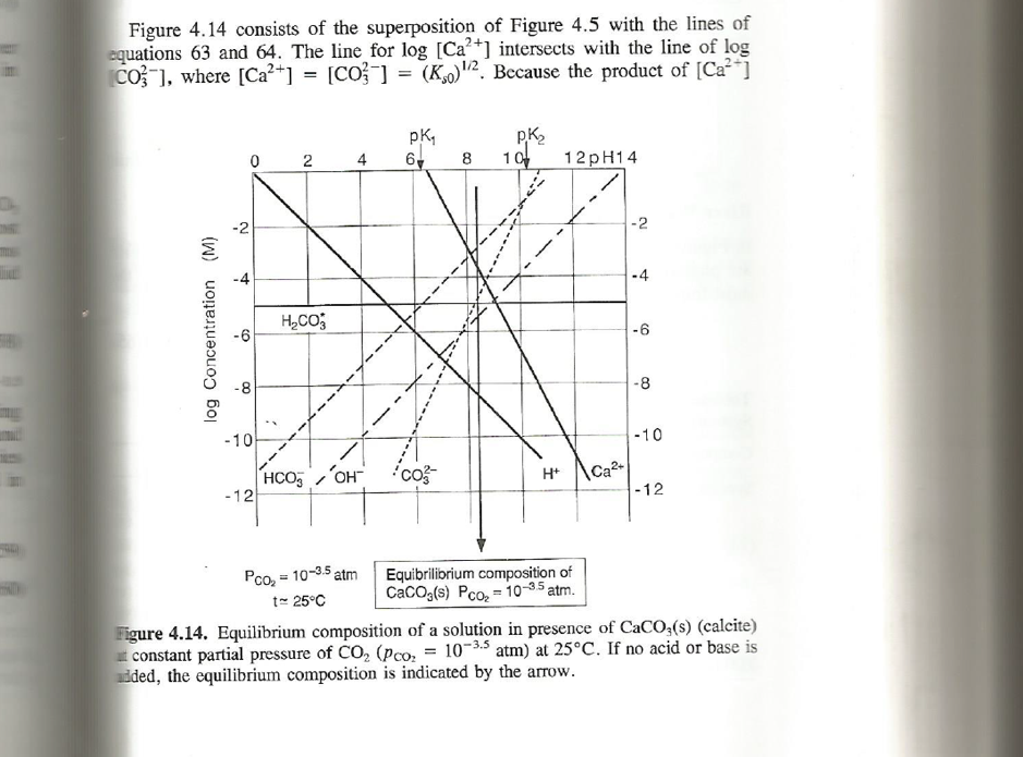 Double logarithmic plot of the equilibrium composition of seawater in our model [@stumm1996]