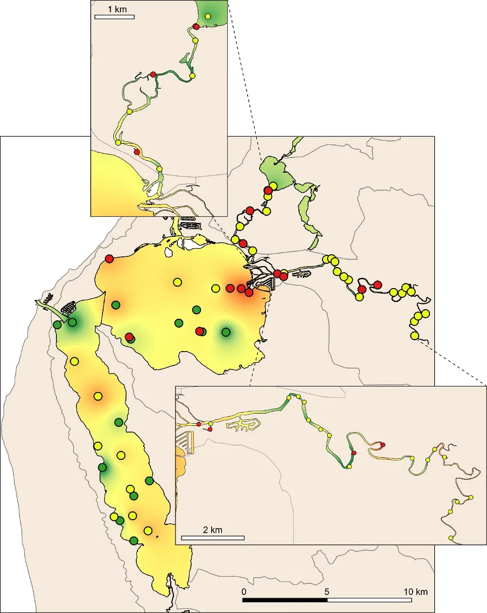 Map of the Benthic Condition Index in the dry season, interpolated throughout the estuary (A, excellent to E, very poor). Circles denote invertebrate sampling sites, colour coded by their sediment condition class (green, Good; yellow, Fair; red, Poor). Insets provide higher resolution views of patterns in the rivers.