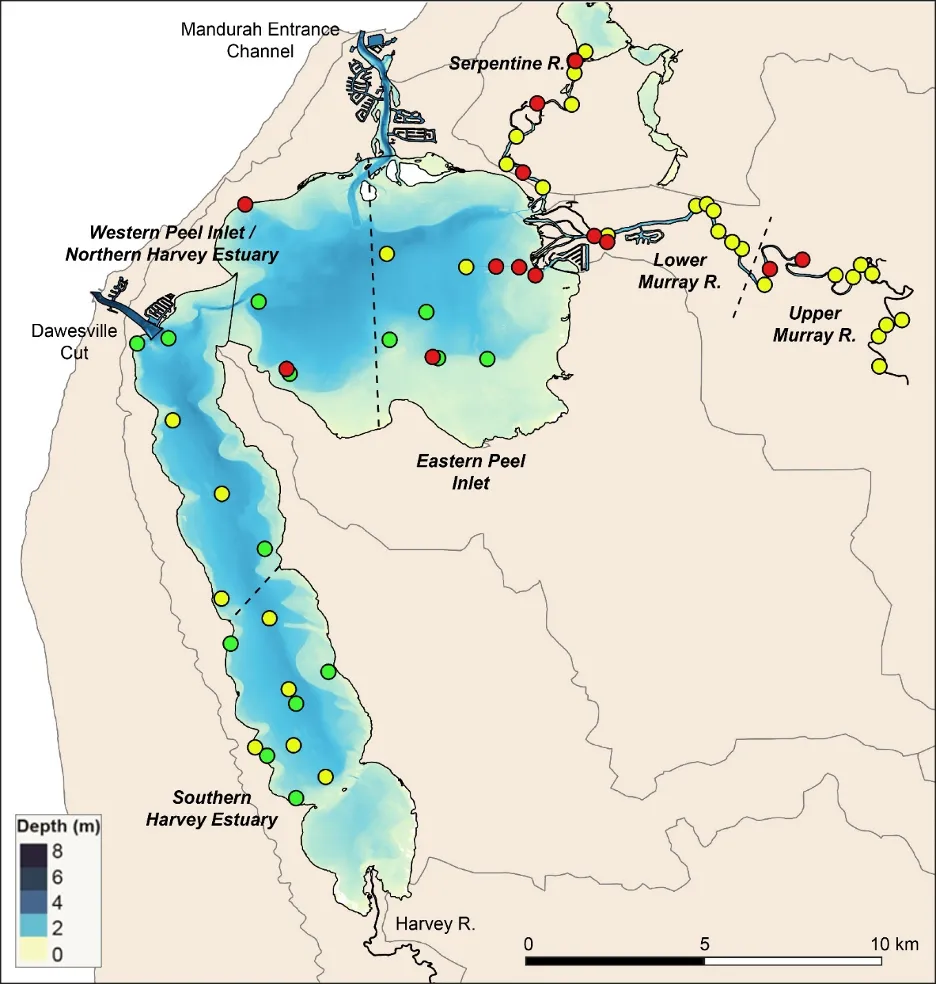 Map of the sites at which benthic macroinvertebrates were sampled across the Peel-Harvey Estuary in winter 2017 and summer 2018. Sites have been colour-coded by their RAP sediment condition class in summer 2018 (green, Good; yellow, Fair; red, Poor; see Table 6.1 and Fig. 6.5). Note that these condition classes differed for some sites in winter 2017, as shown in Figs 8.10 and 8.11.