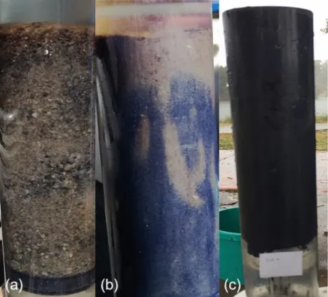 Cores of sediments classified as (a) Good, (b) Fair and (c) Poor condition based on their RAP scores for sediment colour, texture and odour (from Hallett et al., 2019b).