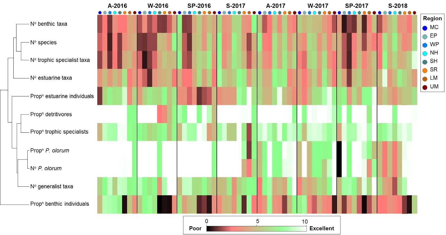 Shadeplot of the average FCI metric scores in the shallows of each region (MC, Mandurah Channel; EP, Eastern Peel Inlet; WP, Western Peel Inlet; NH, Northern Harvey Estuary; SH, Southern Harvey Estuary; SR, Serpentine River; LM, Lower Murray River; UM, Upper Murray River) in each season (S, summer; A, autumn; W, winter; SP, spring) from autumn 2016-summer 2018. Metric scores are shown on a coloured spectrum from red/black (poor scores) to green/white (excellent scores).