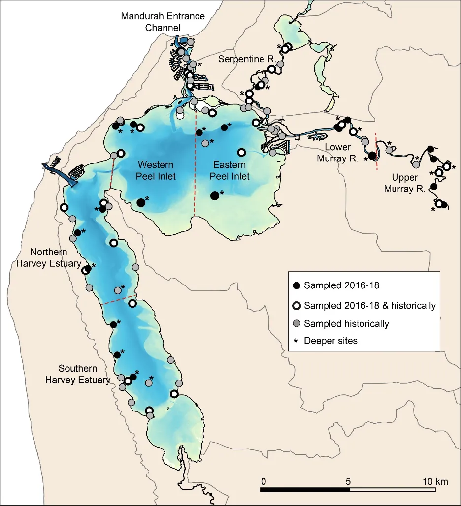 Map of the sites at which fish communities were sampled in the Peel-Harvey Estuary from 1979–2018.