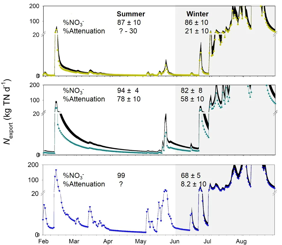 Daily N exported to the Peel-Harvey via the upper Serpentine River (top), Punrak Drain (middle), and Peel Main Drain (bottom), calculated from logged stream flow and modelled TN concentrations (coloured lines and symbols) and accounting for biological attenuation during transport (black areas, which cover the range of calculated values). Grey background indicates winter months (high flow). Question marks on %attenuation are due to lack of measurable NO~3~^-^ in the surface water.