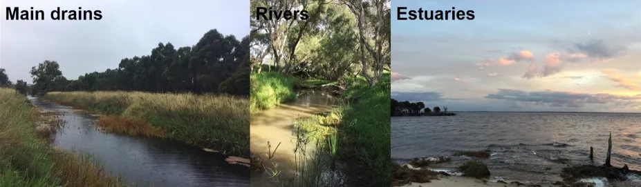 Examples of the different types of water bodies sampled across the Peel-Harvey system. The different flow dynamics and biological structure of these water bodies could have a major impact on how efficiently they remove excess nutrients.