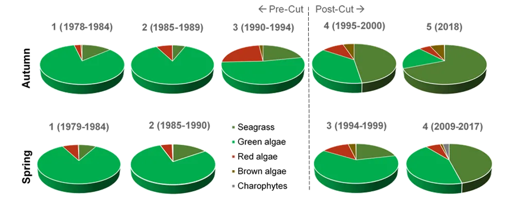 Average contribution of each broad macrophyte group to the overall biomass in each period from 1978–2018 in autumn (top) and spring (bottom).